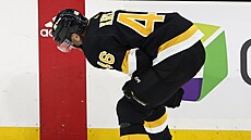 David Krej�í z Boston Bruins se dr�í za bolavou ruku.