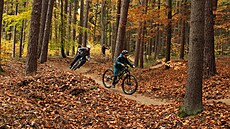 Ve Dvoře Králové otevřeli stezku pro horská kola. (21. 10. 2022)