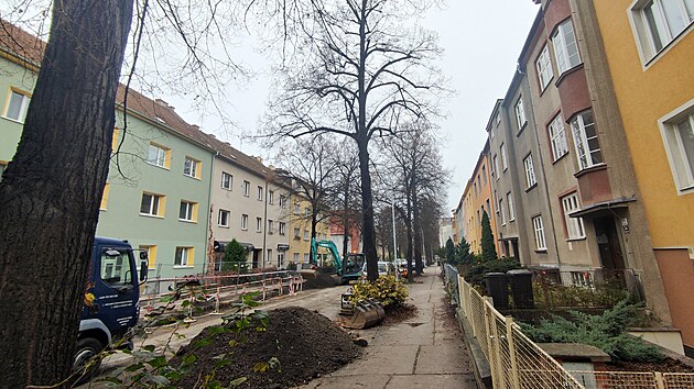 Msto souasnch lip a javor vysad v brnnsk Krkokov ulici po rekonstrukci vodovodu neplodc ten a hrun.
