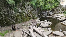 Medv�di ve výb�hu v �eském Krumlov�