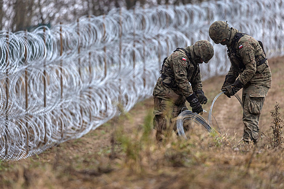 Poltí vojáci staví plot na polsko-ruské hranici. (3. listopadu 2022)