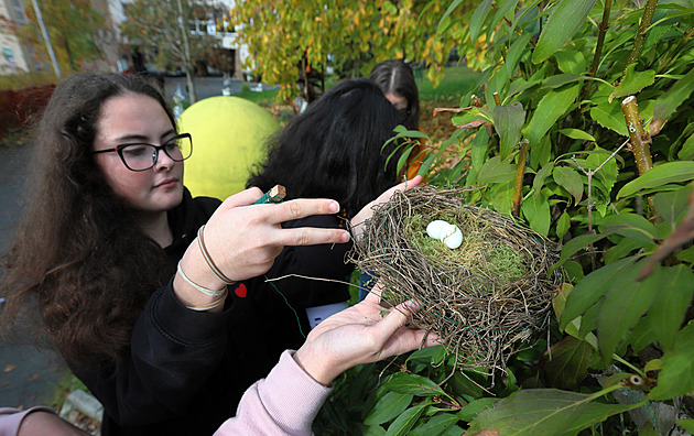 Projekt studentům v Chebu sabotovaly straky, z hnízd kradly umělá vejce
