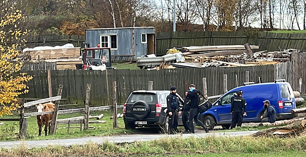 Býk utekl z ohrady a napadl seniorku, agresivní zvíře policisté zastřelili