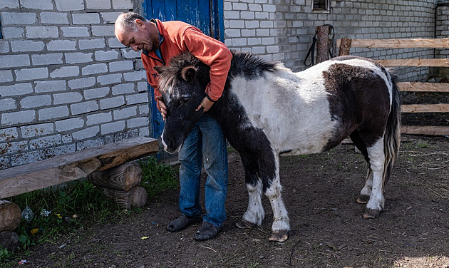 Snědli klokany i bizona. Žalostně zásobení ruští vojáci plenili ukrajinskou zoo