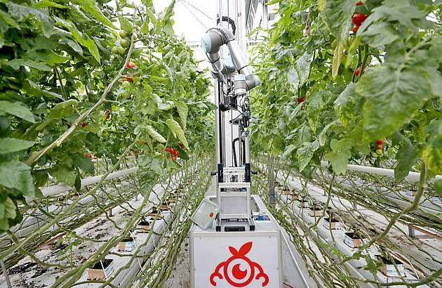 Krize nás učí, jak pěstovat plodiny při nižších teplotách, říká mladý farmář