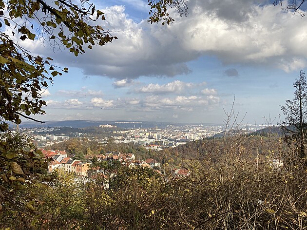 Z Rového návrí na Kamenném vrchu je pkný výhled na centrum Brna.
