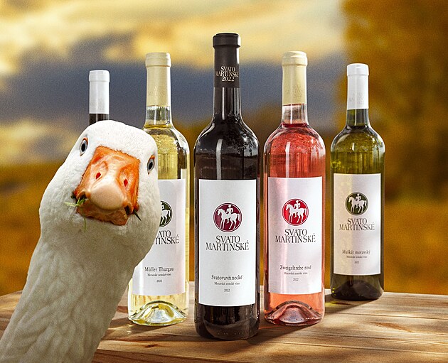 Svatomartinsk� v�no p�ed�ilo sl�vu francouzsk�ho Beaujolais.