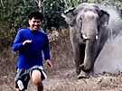 Koho chránit? Hladový slon zahání v Thajsku mue, který se mu snail zabránit v...