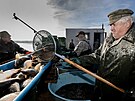 Vlov Hoejho Padrskho rybnku v Brdech. (9. listopadu 2022)