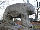 Kamenn medvdice z hory Slza (la)