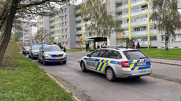 Policejn� p�tr�n� po st�elci, kter� post�elil chlapce v parku na �ern�m Most�. (1. listopadu 2022)