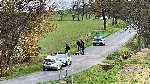 Z ohrady v Miro�ovic�ch utekli b�ci, jeden za�to�il na �enu. (2. listopadu 2022)