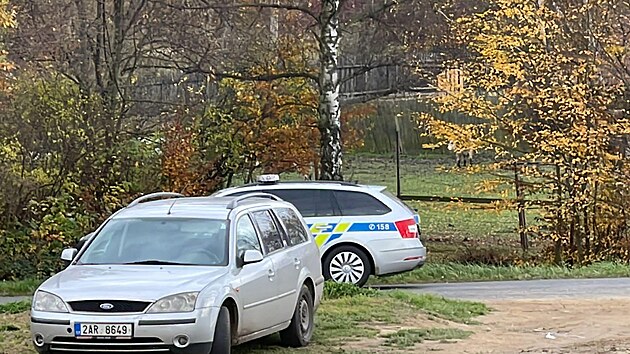 Z ohrady v Miro�ovic�ch utekli b�ci, jeden za�to�il na �enu. (2. listopadu 2022)