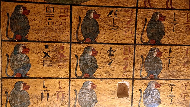 Vzdoba Tutanchamonovy hrobky je oproti jinm vdol krl velmi skromn, vidme ji pouze vpohebn komoe. Na jej zpadn zdi je zobrazench 12 pavin Symbolizovali 12 nebezpench nonch hodin, kter krl musel zdolat, ne doel ke svmurannmu znovuzrozen.