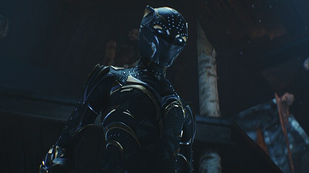 Z filmu Black Panther: Wakanda nechť žije (2022)