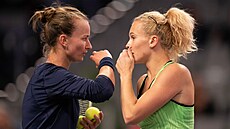 Barbora Krejíková a Kateina Siniaková spolu hovoí bhem posledního zápasu ve...