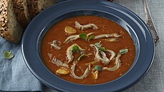 Dr�tkov� pol�vka z hl�vy �st�i�n�