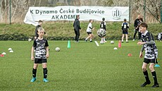 Fotbalová akademie Dynama má zázemí v tréninkové areálu Sloit.