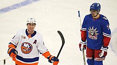 Útočník FIlip Chytil přihlíží gólové oslavě hráčů New York Islanders.