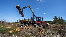 K�rovec dal �eským les�m po�ádn� zabrat.