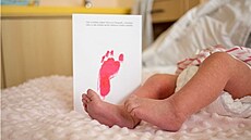 V chomutovské porodnici mají maminky mo�nost nechat si na památku ud�lat otisky...