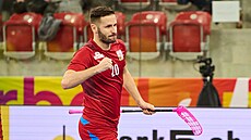 eský florbalista Martin Toko slaví gól proti védsku