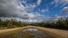 Pískovna Marokánka pro�la rekultivací. (2. 11. 2022)