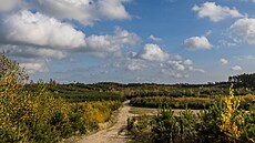 Pískovna Marokánka pro�la rekultivací. (2. 11. 2022)