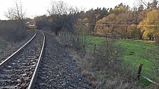 Na Doma�licku srazil vlak p�t koní.