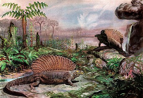 Býloraví edafosaui (ili ped 300 miliony lety), jak je namaloval Zdenk...