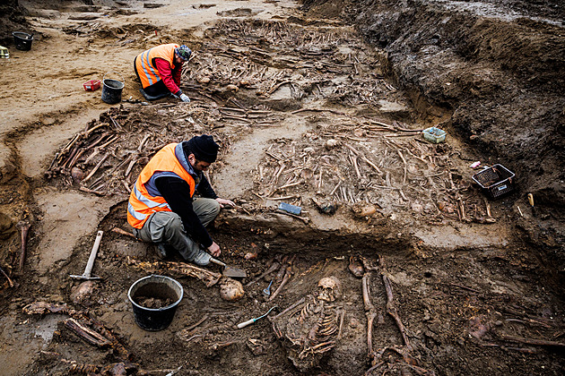 Tisíce kostí v Karlíně. Archeology překvapilo velké množství hromadných hrobů