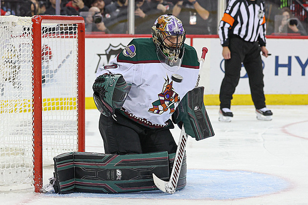 V australské odvetě přípravy na NHL Rittich slavil výhru nad Vejmelkou