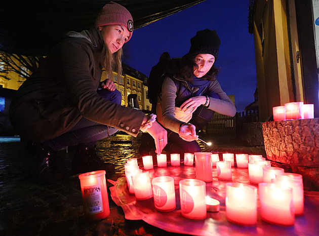 Česko si připomene výročí 17. listopadu, Den boje za svobodu a demokracii