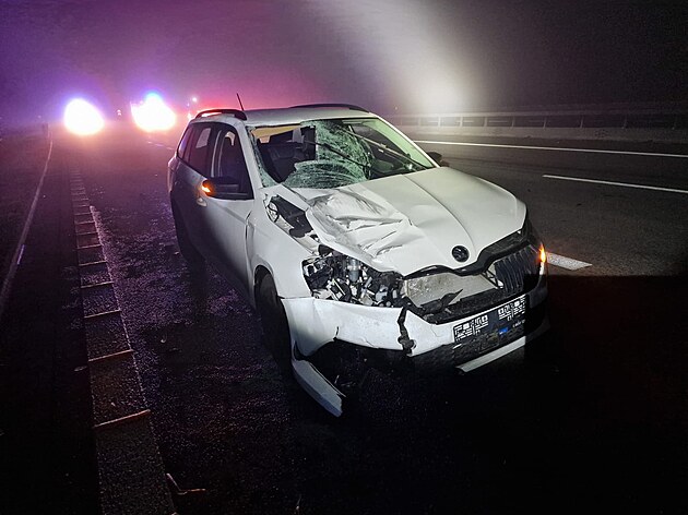 Tragická dopravní nehoda na dálnici D3 u Jindichova Hradce (11. listopadu 2022)