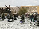 <p>Instalace vánočního osvětlení v Praze  10 -Vršovicích na Kubánském náměstí.</p>
