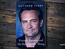 Matthew Perry a jeho pamti s názvem Friends, Lovers, and the Big Terrible...