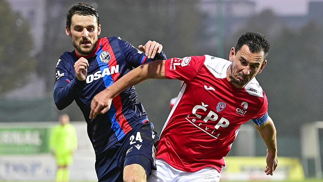 Plze�ský obránce Milan Havel (vlevo) se sna�í vypíchnout mí� Pavlu �ernému z...