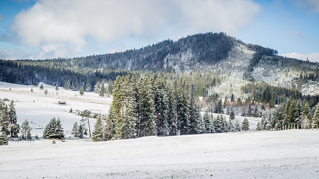 Antýgl, umava