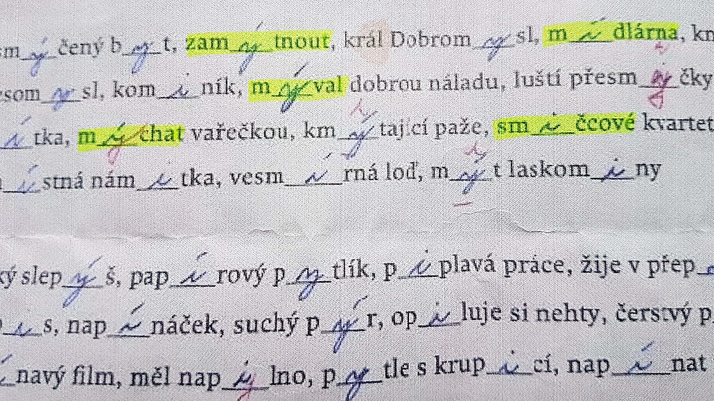 Žákovské práce z českého jazyka jsou plné neopravených hrubek.