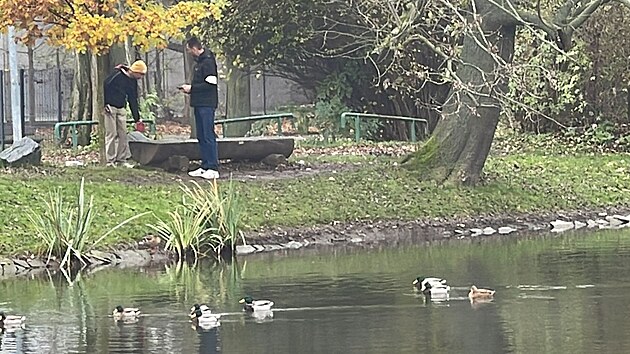 V Jinonickém rybníku bylo tělo muže. Na místě jsou policisté. (13. listopadu 2022)