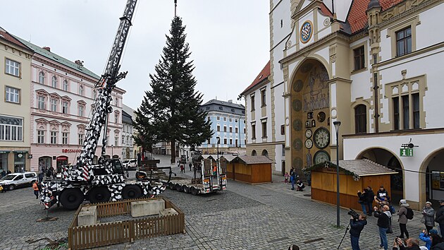 Leton vnon strom pro Olomouc darovala rodina z Hluboek u Olomouce. Specializovan firma strom pokcela a zajistila jeho pevoz na Horn nmst v Olomouci. Lid sleduj usazen stromu na vybran msto. (13. 11. 2022)