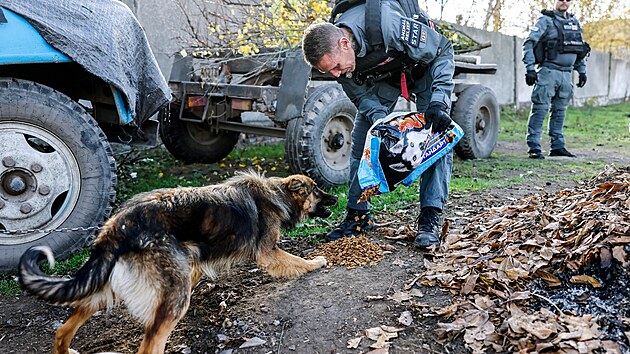len speciln skupiny pro pomoc zvatm krm toulavho psa v Mykolajivsk oblasti. (4. listopadu 2022)