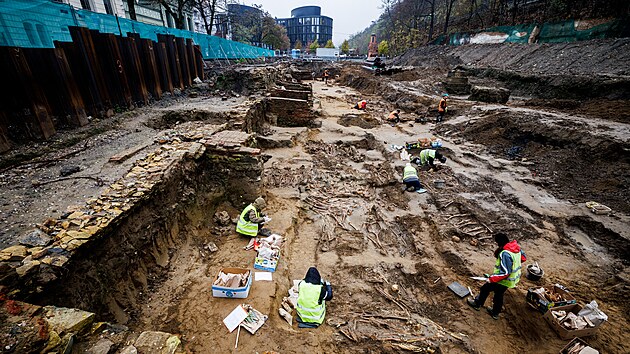 Odkrývání bývalého vojenského hřbitova v Pernerově ulici v Karlíně. (15. listopadu 2022)