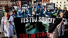 Prahou pro�el pr�vod ochránc� zví�at. (12. listopadu 2022)