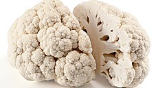 �Lidský mozek strukturou p�ipomíná vla�ský o�ech. Nebo kv�ták,� �íká prof....