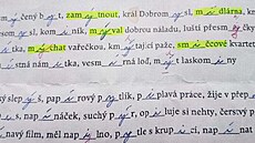 �ákovské práce z �eského jazyka jsou plné neopravených hrubek.