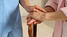 O práci v pe�ovatelství se v poslední dob� hlásí více mladých lidí, p�esto jich...