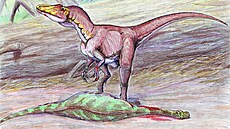 Přibližná podoba dosud velmi záhadného teropodního dinosaura druhu Deltadromeus...