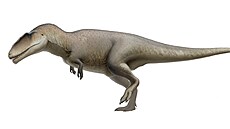 Výtvarná rekonstrukce pravděpodobného vzezření obřího karcharodontosauridního...
