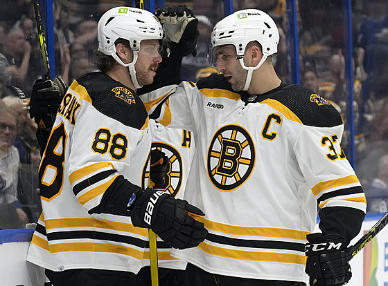 David Pastrák a Patrice Bergeron slaví gól v zápase hokejové NHL mezi Bostonem...